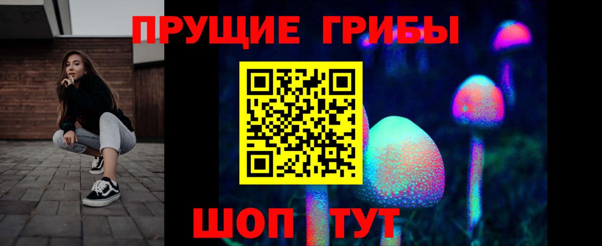 Мурино  Псилоцибиновые грибы Magic Shrooms  Вход с VPN 